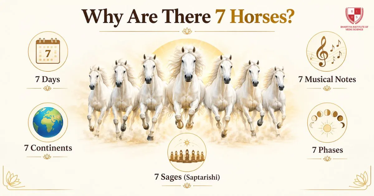 Why are There 7 Horses